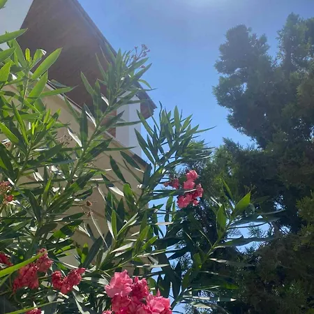 Sunrise Club, Bogaz, North Cyprus