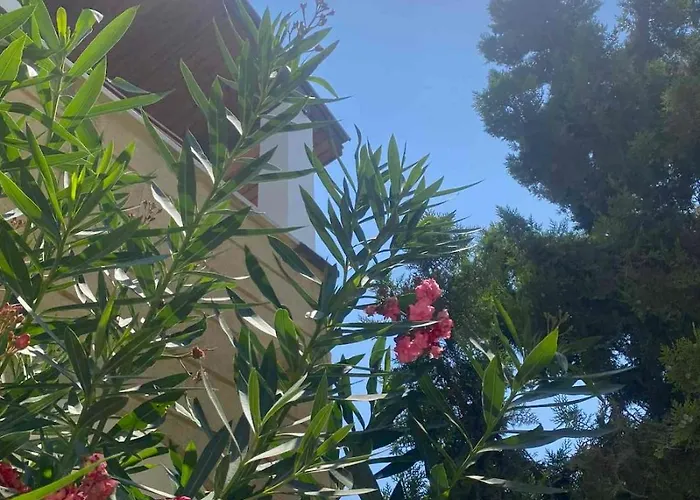 Sunrise Club, Bogaz, North Cyprus